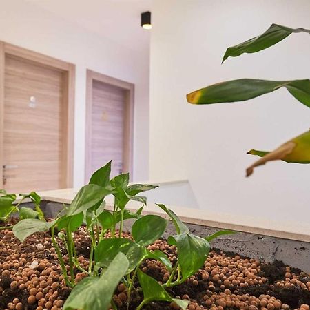 Boutique Garden Rooms ดูบรอฟนิก ภายนอก รูปภาพ