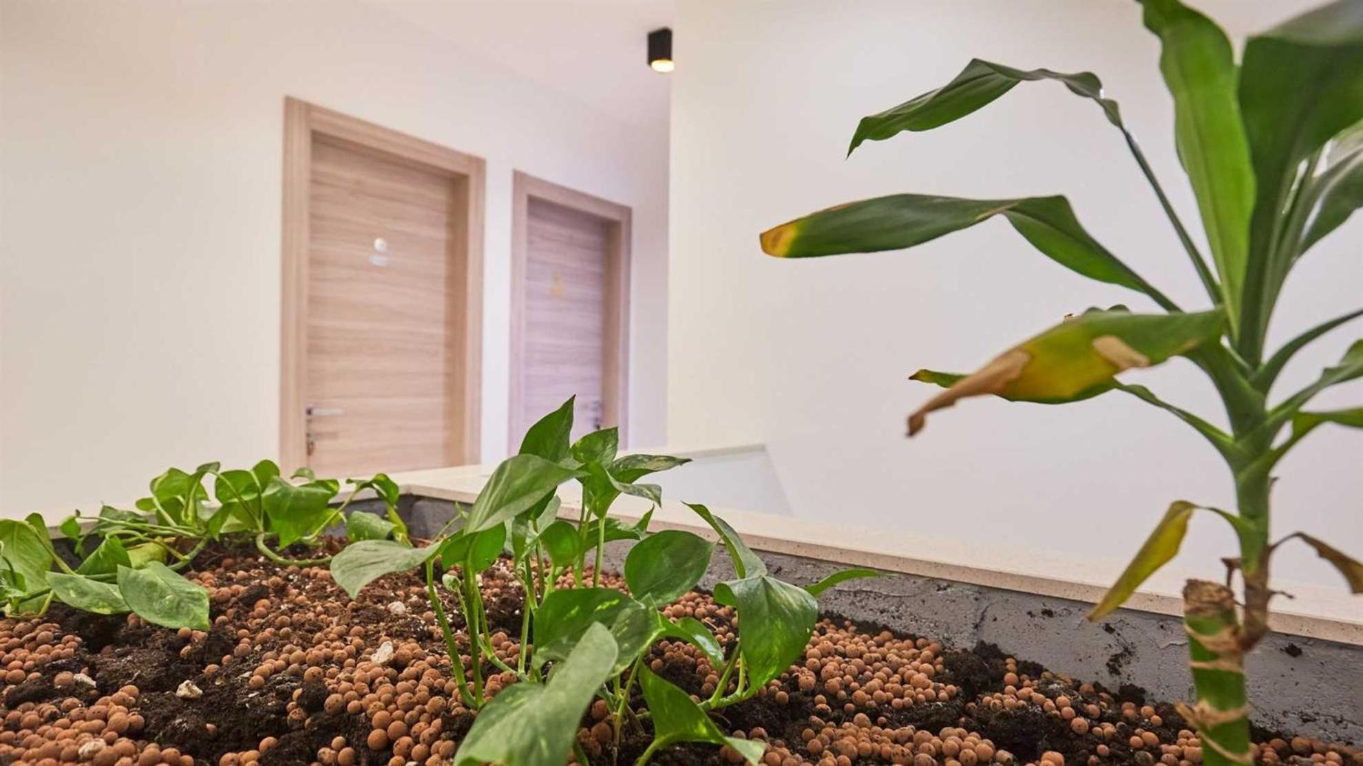 Boutique Garden Rooms ดูบรอฟนิก ภายนอก รูปภาพ